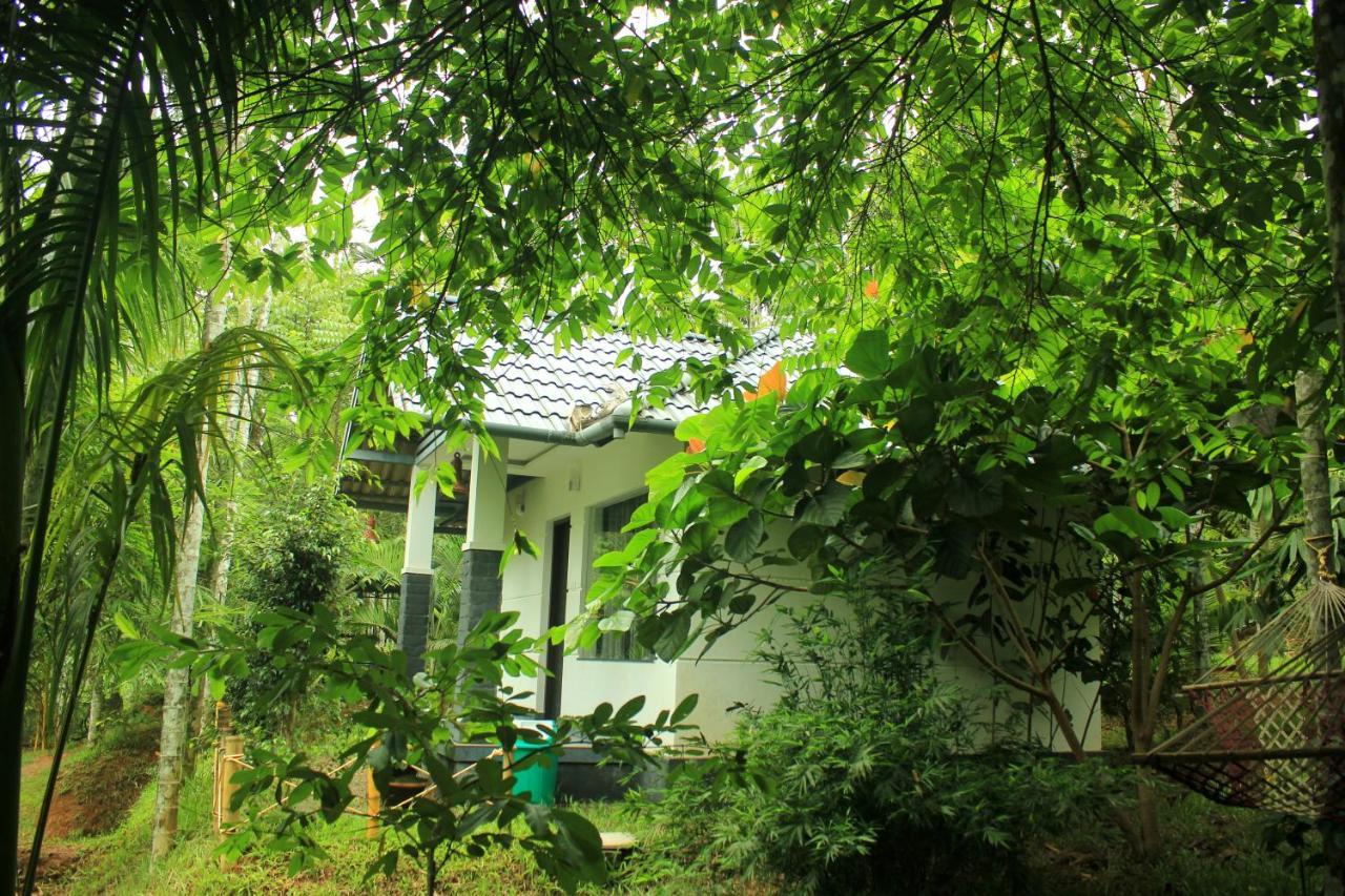 Vintage Garden Resort Sultan Bathery Esterno foto